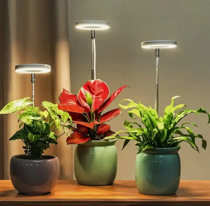 Iliana - Lámpara LED de cultivo regulable para plantas