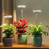 Iliana - Lámpara LED de cultivo regulable para plantas