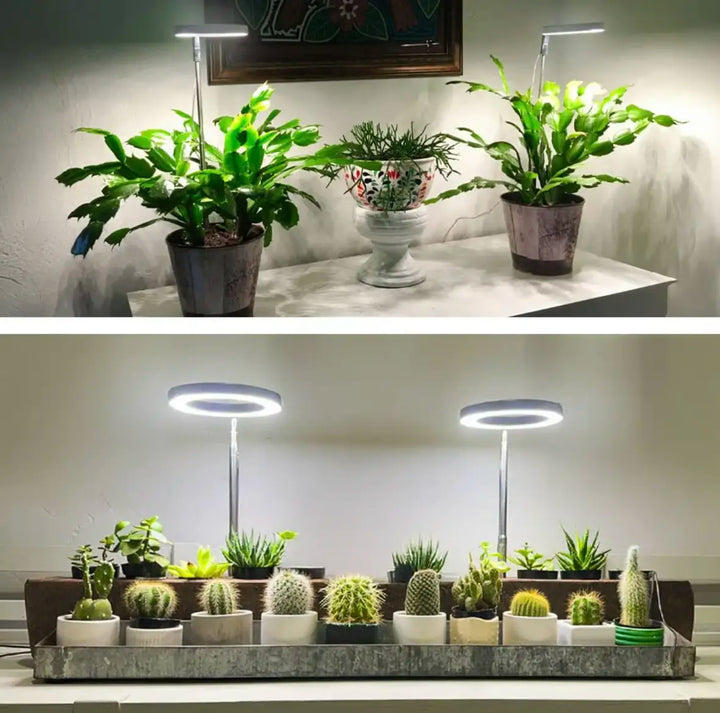 Iliana - Lámpara LED de cultivo regulable para plantas