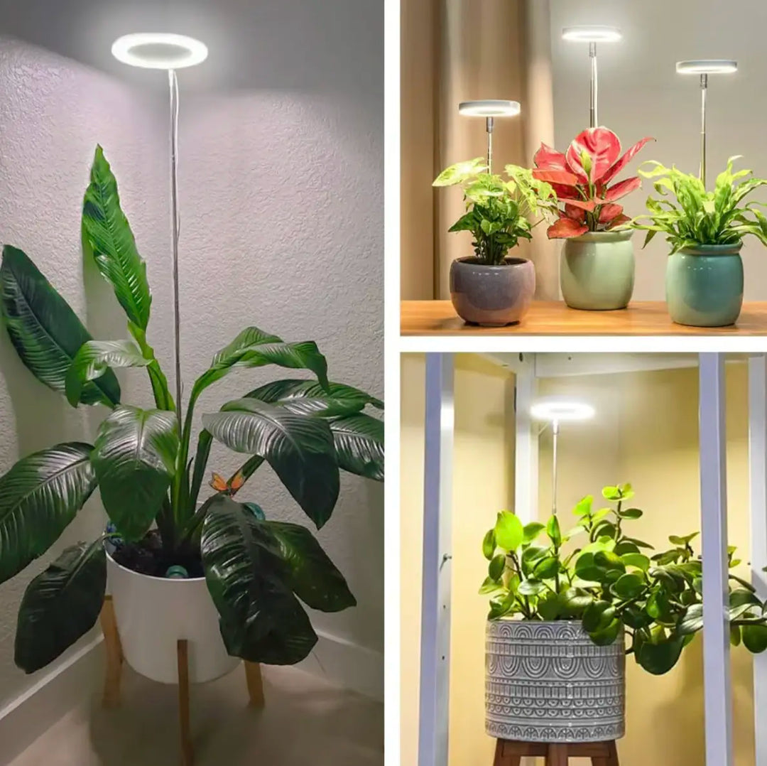 Iliana - Lámpara LED de cultivo regulable para plantas