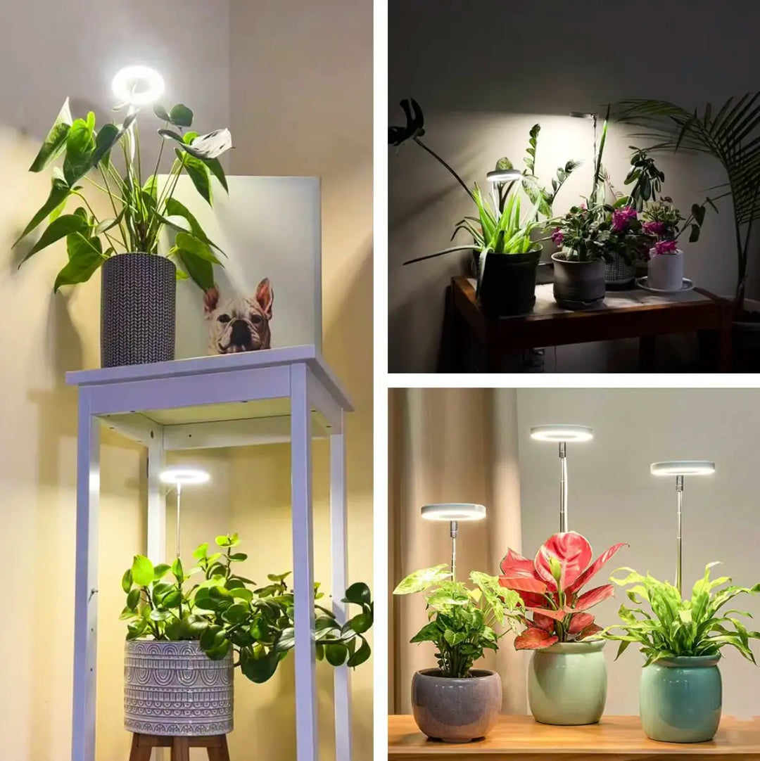Iliana - Lámpara LED de cultivo regulable para plantas